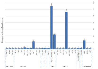 陈赛娟团队研究2022年秋冬新冠疫情奥密克戎毒株情况