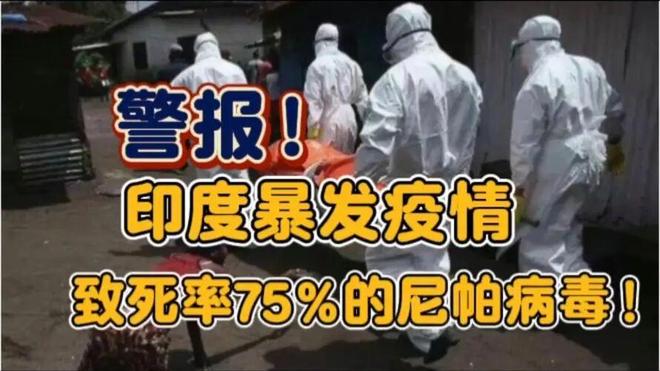 印度现病死率最高达75%的尼帕病毒，人畜共患无药可医