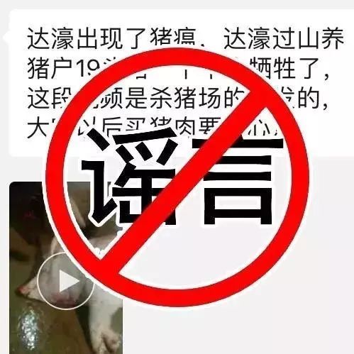 春节猪肉消费旺季，非洲猪瘟谣言疯传，传谣者被处理